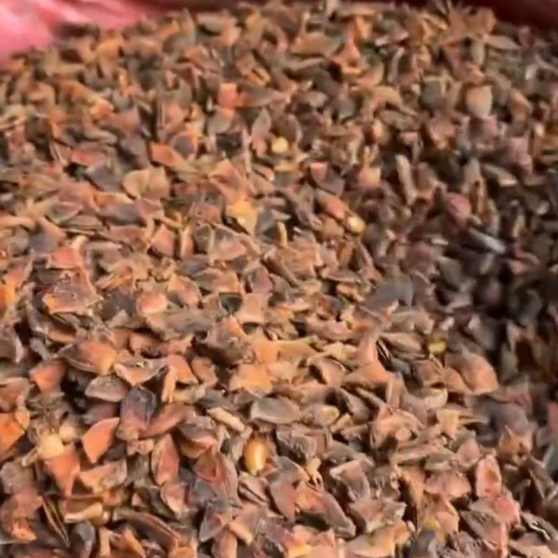 打粉专用新干枝八角碎片，适合打粉末或商用食品加工厂