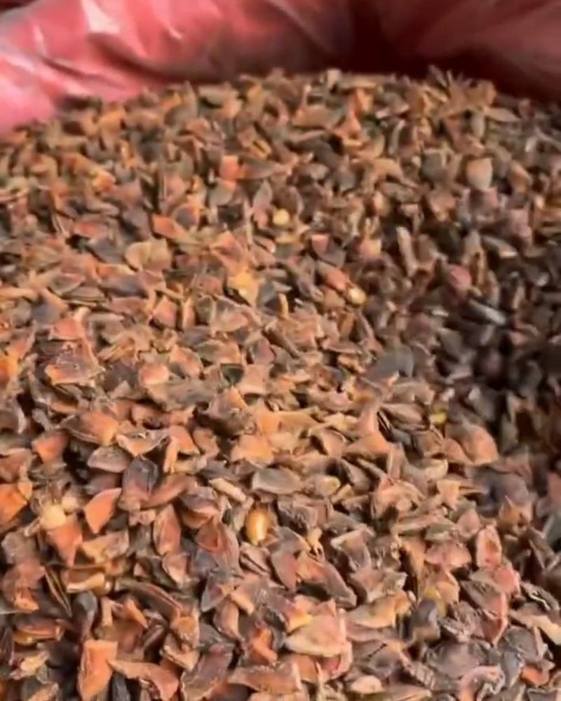打粉专用新干枝八角碎片，适合打粉末或商用食品加工厂