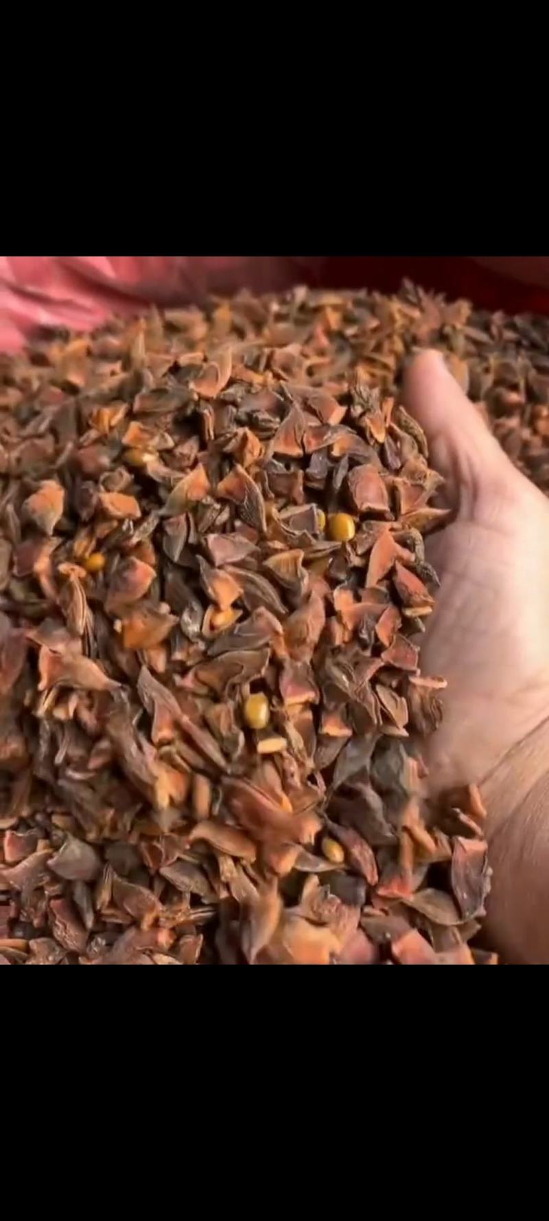 打粉专用新干枝八角碎片，适合打粉末或商用食品加工厂