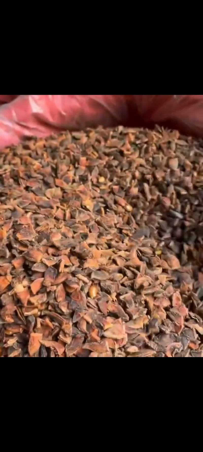 打粉专用新干枝八角碎片，适合打粉末或商用食品加工厂