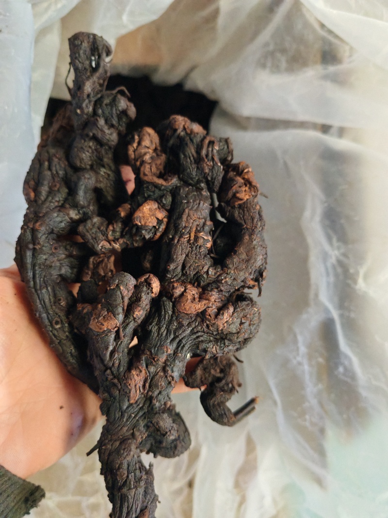 黄精云南黄精九蒸九晒黄精大货批发