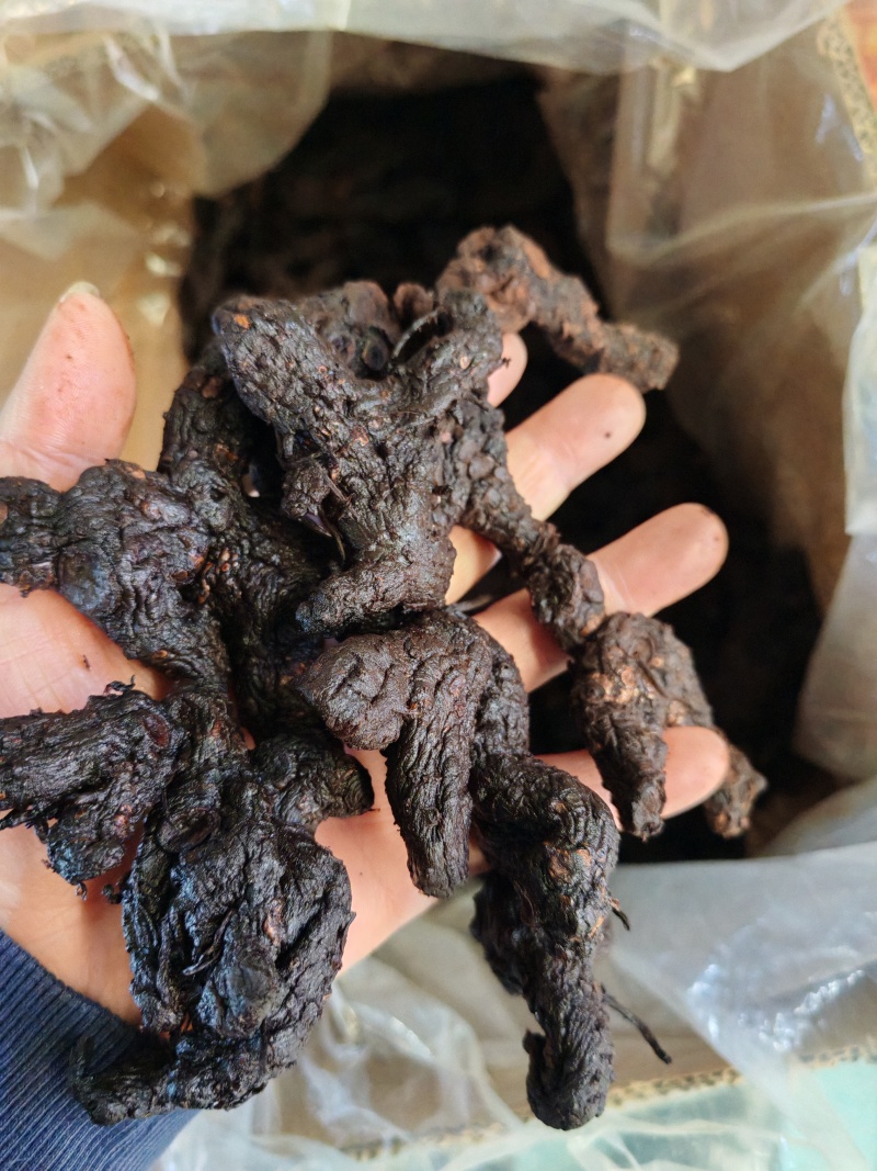 黄精云南黄精九蒸九晒黄精大货批发