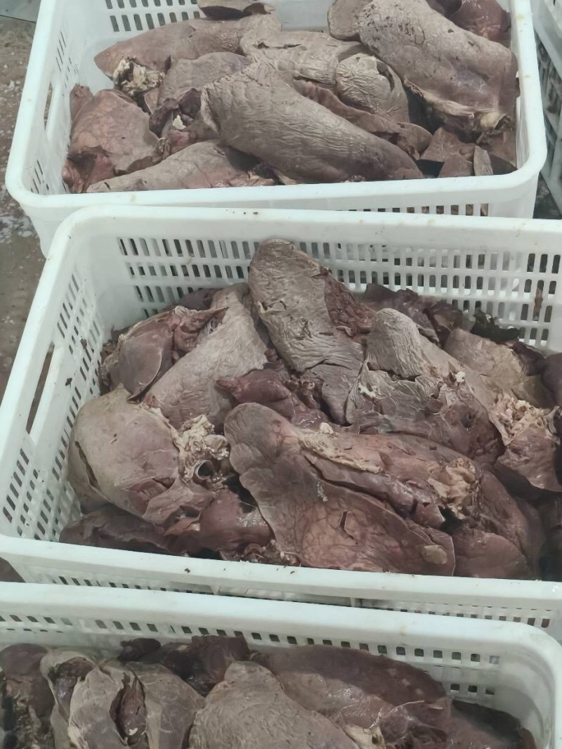 （熟牛肺）规格50斤冻品牛副产品熟牛肺