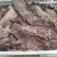 （熟牛肺）规格50斤冻品牛副产品熟牛肺