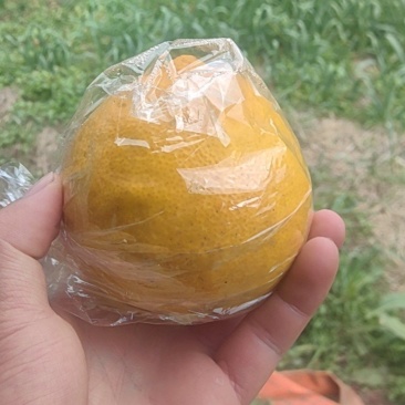 阳光一号