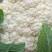 松花菜四川松花菜大量上市一手货源量大从优欢迎来电