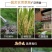 老款可调节钢丝搂草铁耙子新款家用户外园林加固树叶耙子