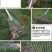 老款可调节钢丝搂草铁耙子新款家用户外园林加固树叶耙子