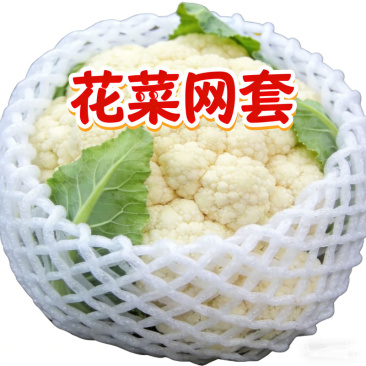 水果网套快递包装网袋花菜芒果苹果泡沫防震网兜批发厂家