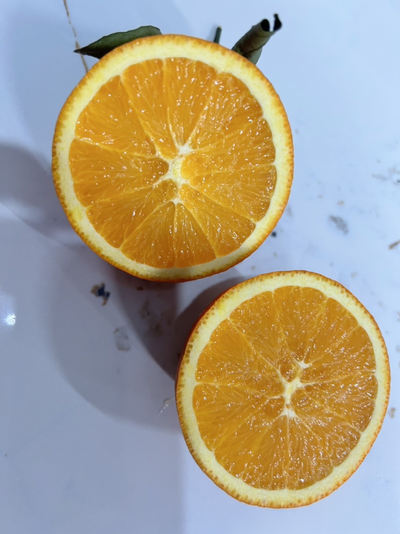 重庆纽荷尔脐橙大量上市香甜多汁规格齐全直发全国