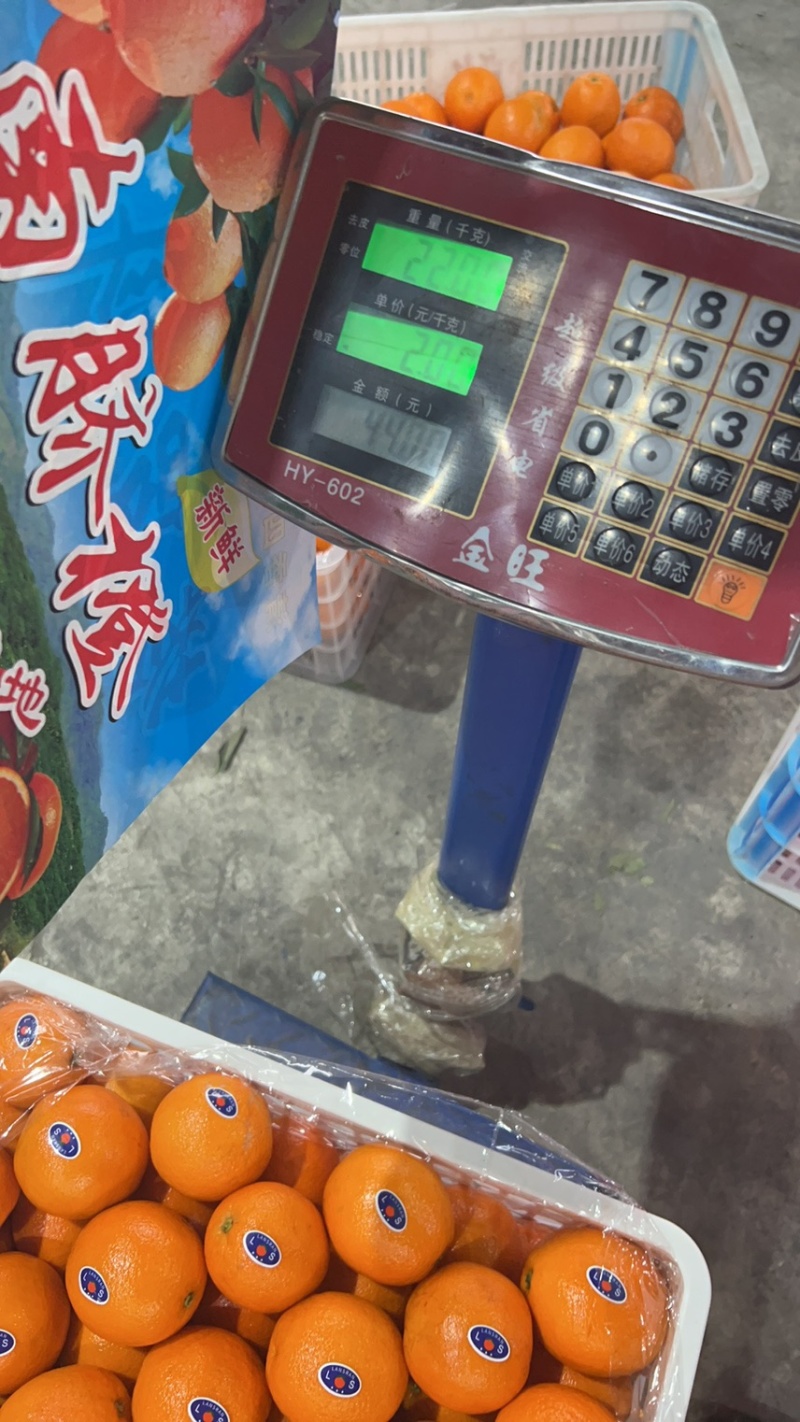 重庆纽荷尔脐橙大量上市香甜多汁规格齐全直发全国