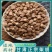 柴胡中药材甘肃柴胡新货无硫柴胡批发北柴胡根粉泡茶