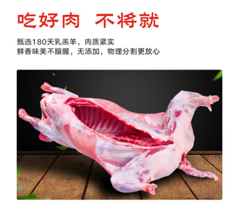 盐池滩羊白条羊
