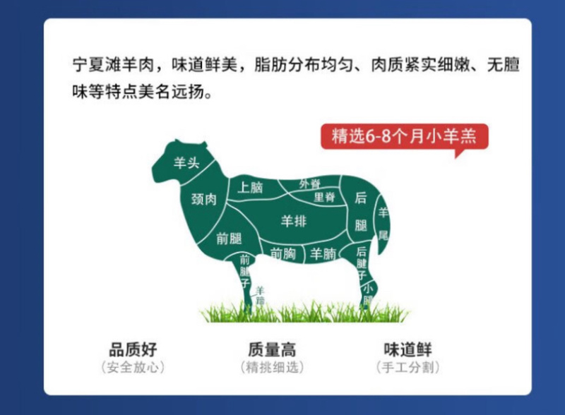 盐池滩羊白条羊