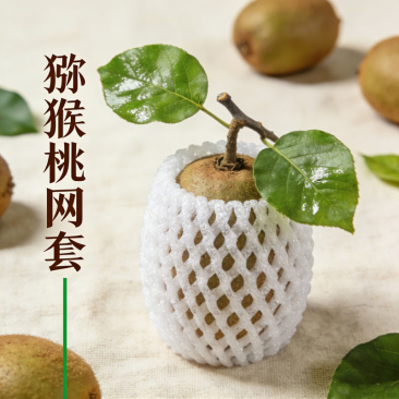 猕猴桃专用网套水果网套防震保护套泡沫网兜软枣猕猴桃网套批发