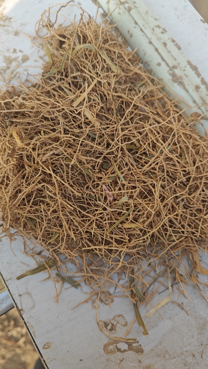 山麦冬根须，药厂饲料厂