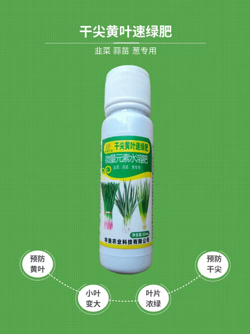 干尖黄叶速绿肥叶片浓绿预防黄叶干尖抗倒伏叶面肥