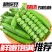 四川攀枝花甜豌豆/产区直发/大量现货/欢迎各位