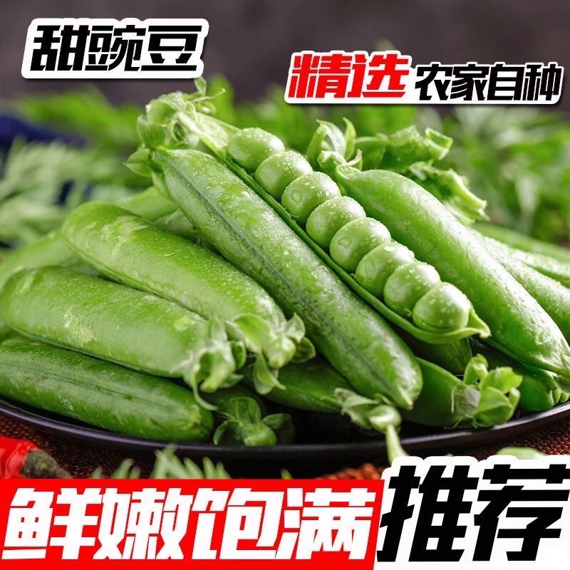 四川攀枝花甜豌豆/产区直发/大量现货/欢迎各位
