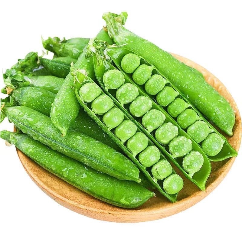 四川攀枝花甜豌豆/产区直发/大量现货/欢迎各位