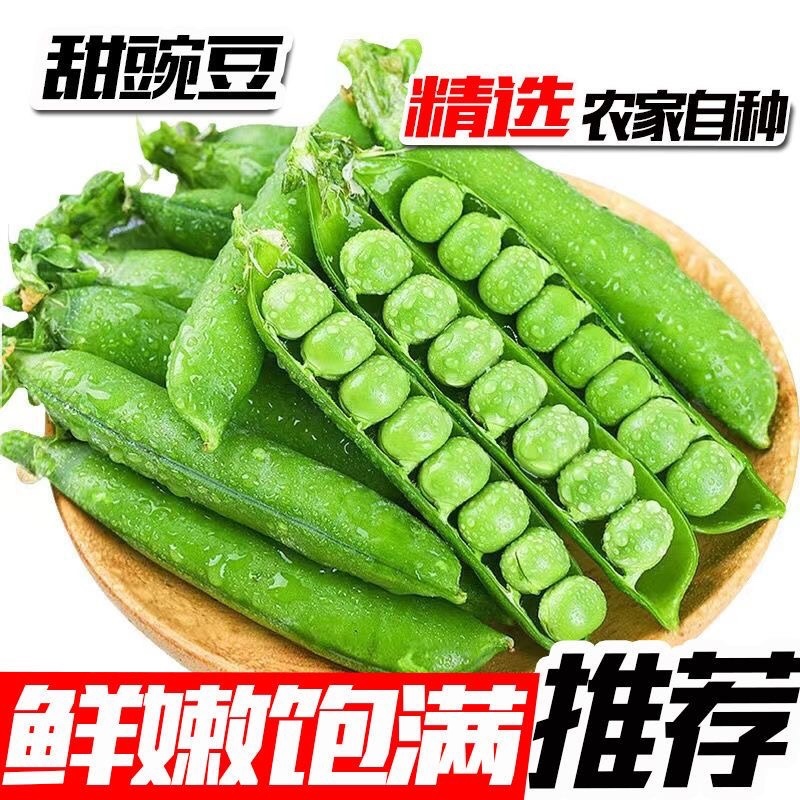 四川攀枝花甜豌豆/产区直发/大量现货/欢迎各位