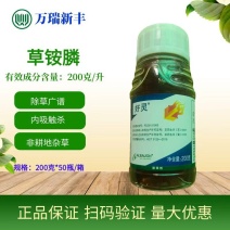 龙灯好灵草铵膦荒地杂草除草剂