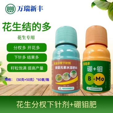 花生结得多花生分杈下针剂硼钼肥下针多开花多结果多