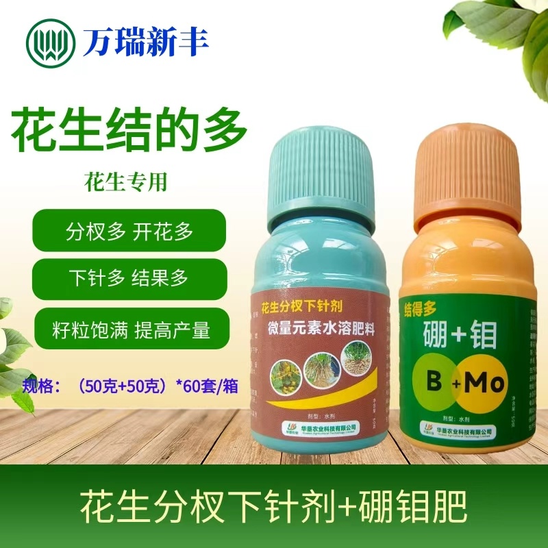 花生结得多花生分杈下针剂硼钼肥下针多开花多结果多