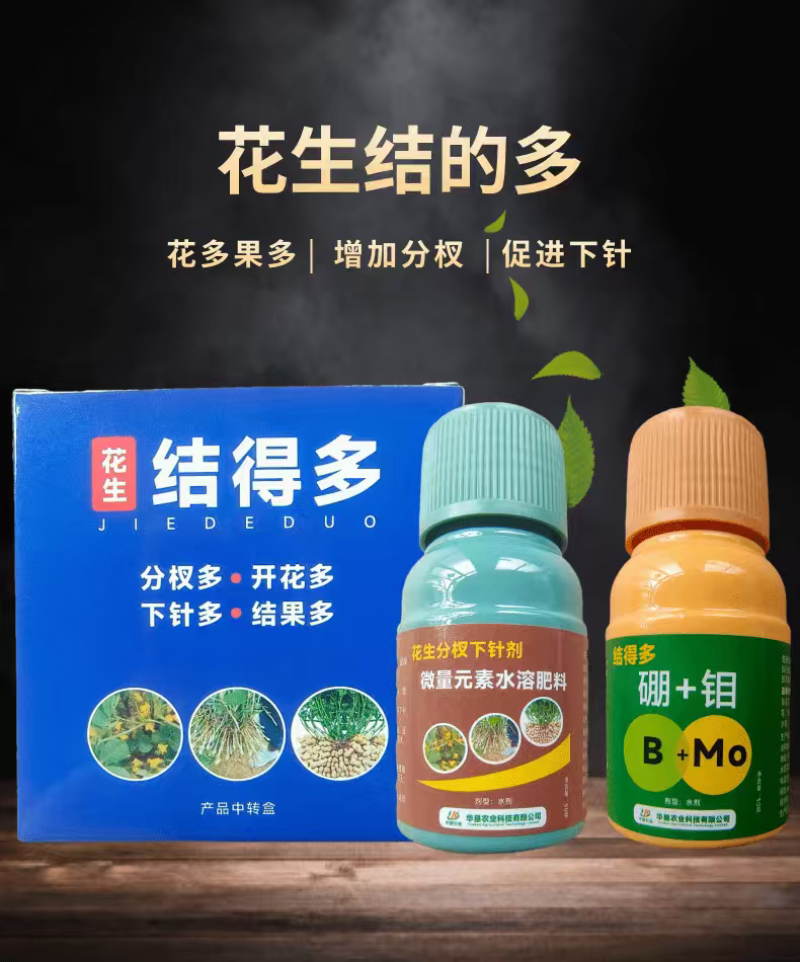 花生结得多花生分杈下针剂硼钼肥下针多开花多结果多