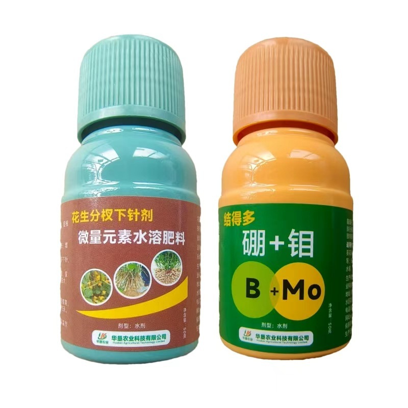 花生结得多花生分杈下针剂硼钼肥下针多开花多结果多