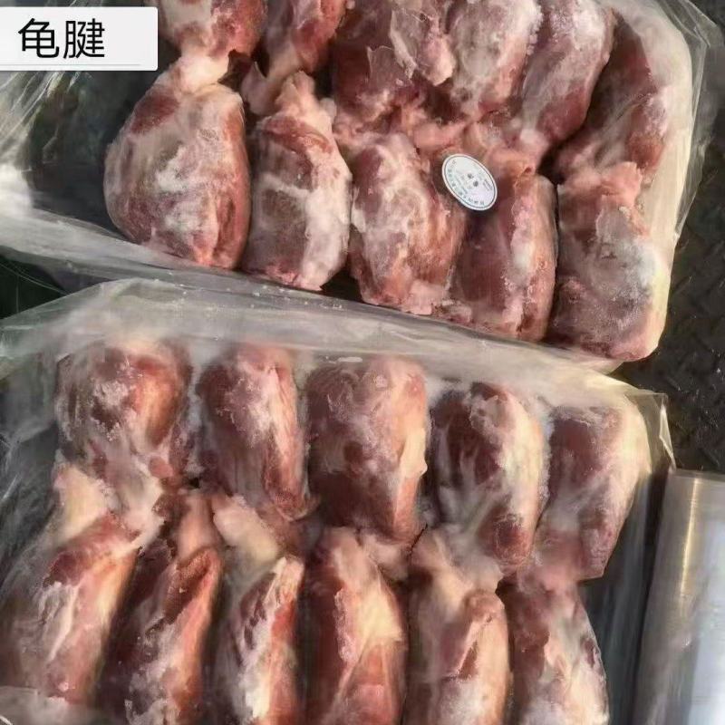猪龟腱
