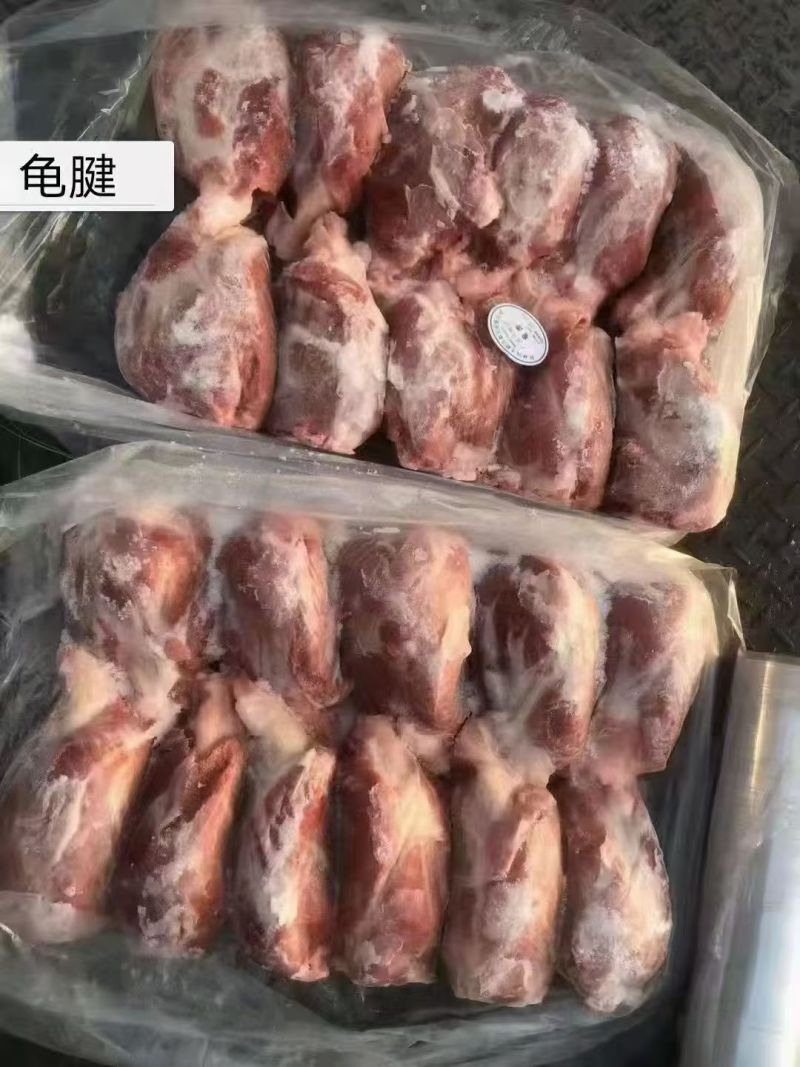 猪龟腱