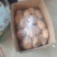 山东土豆荷兰系列土豆产地直发货源充足