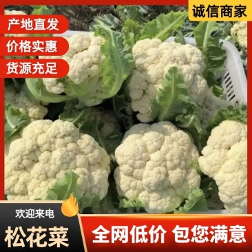 四川有机花菜一手货产地直供可提供预冷等一条龙服务欢迎咨询