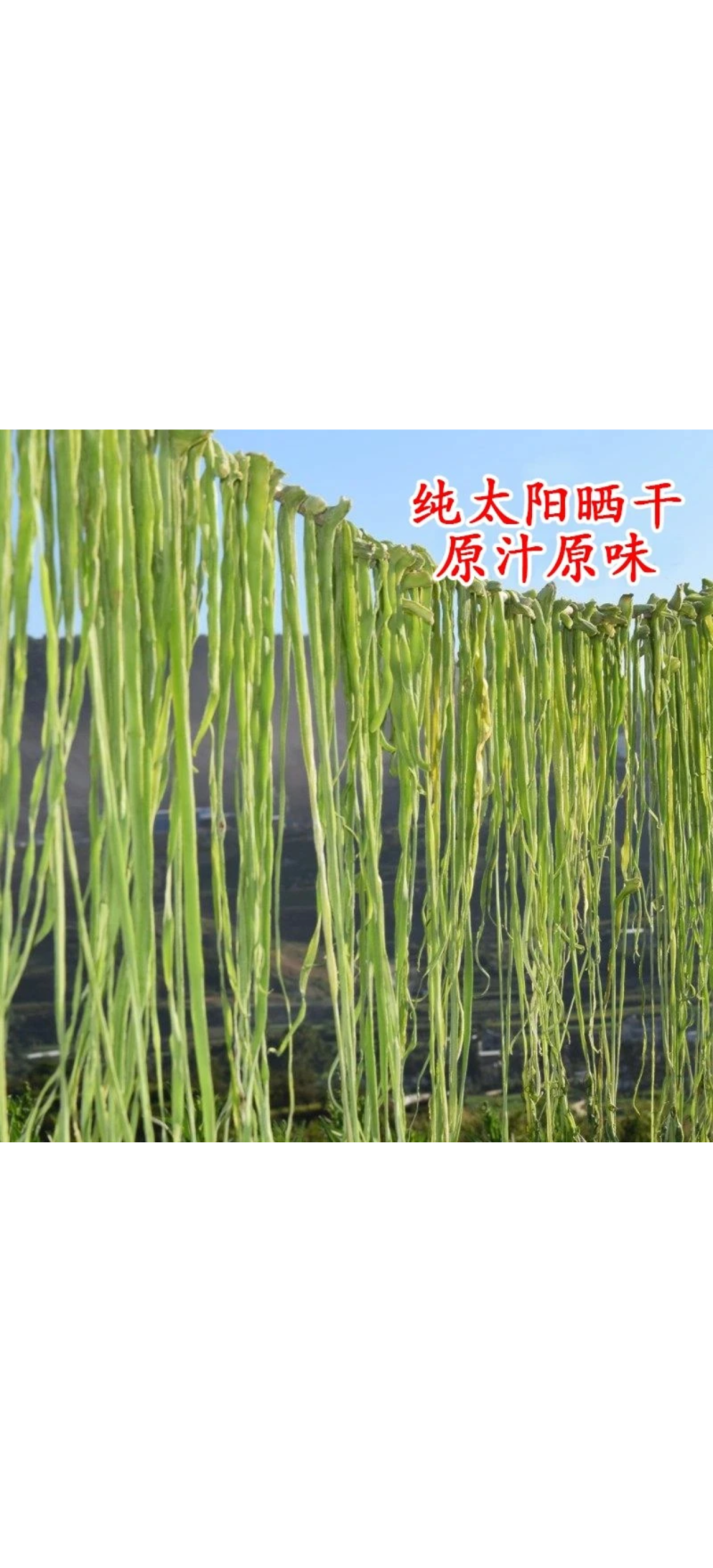 云南大理贡菜干-产地直发-量大从优-脆脆可口