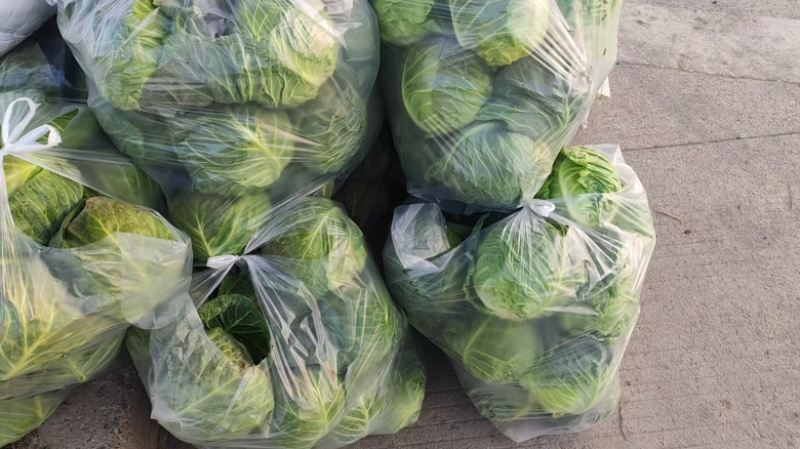 圆包菜产地直发，精品圆包菜，大量有货，价格优惠