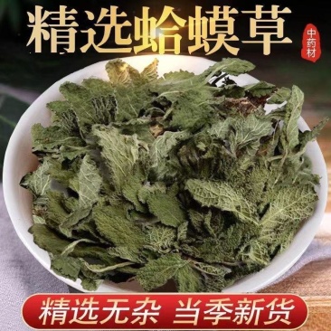 蛤蟆草中药材正品蟾蜍草新鲜现挖整棵晒干带根蛤蟆皮草