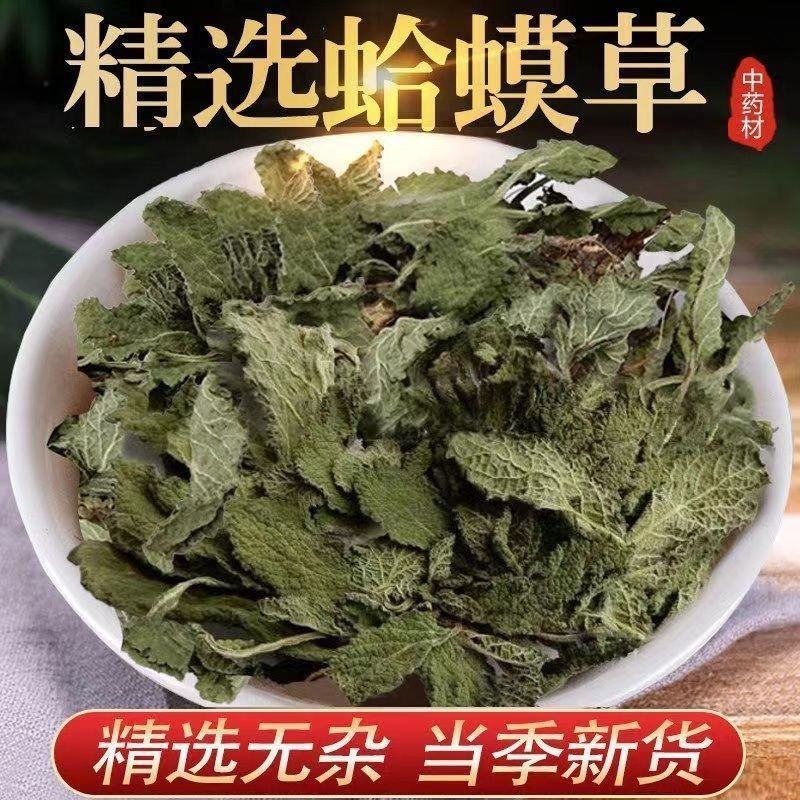 蛤蟆草中药材正品蟾蜍草新鲜现挖整棵晒干带根蛤蟆皮草