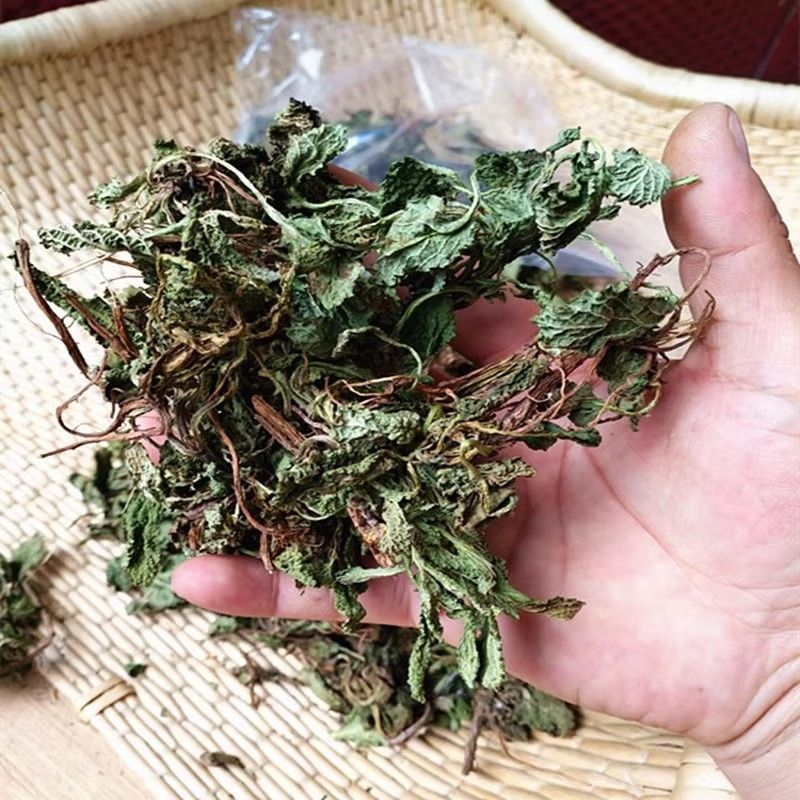 蛤蟆草中药材正品蟾蜍草新鲜现挖整棵晒干带根蛤蟆皮草