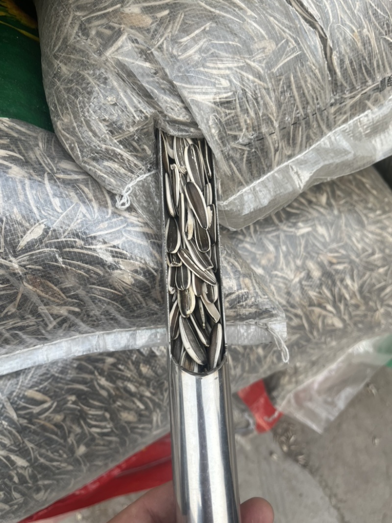葵花籽