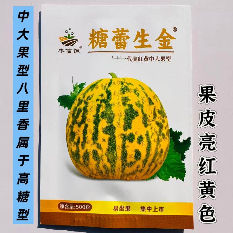 糖蕾生金八里香甜瓜种子中大果型高糖果皮亮红黄色甜瓜种子