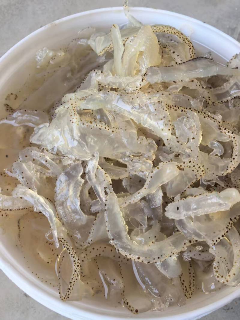 山东海蜇皮海蜇丝/厂家直发/源头工厂/味道鲜美/量大价优