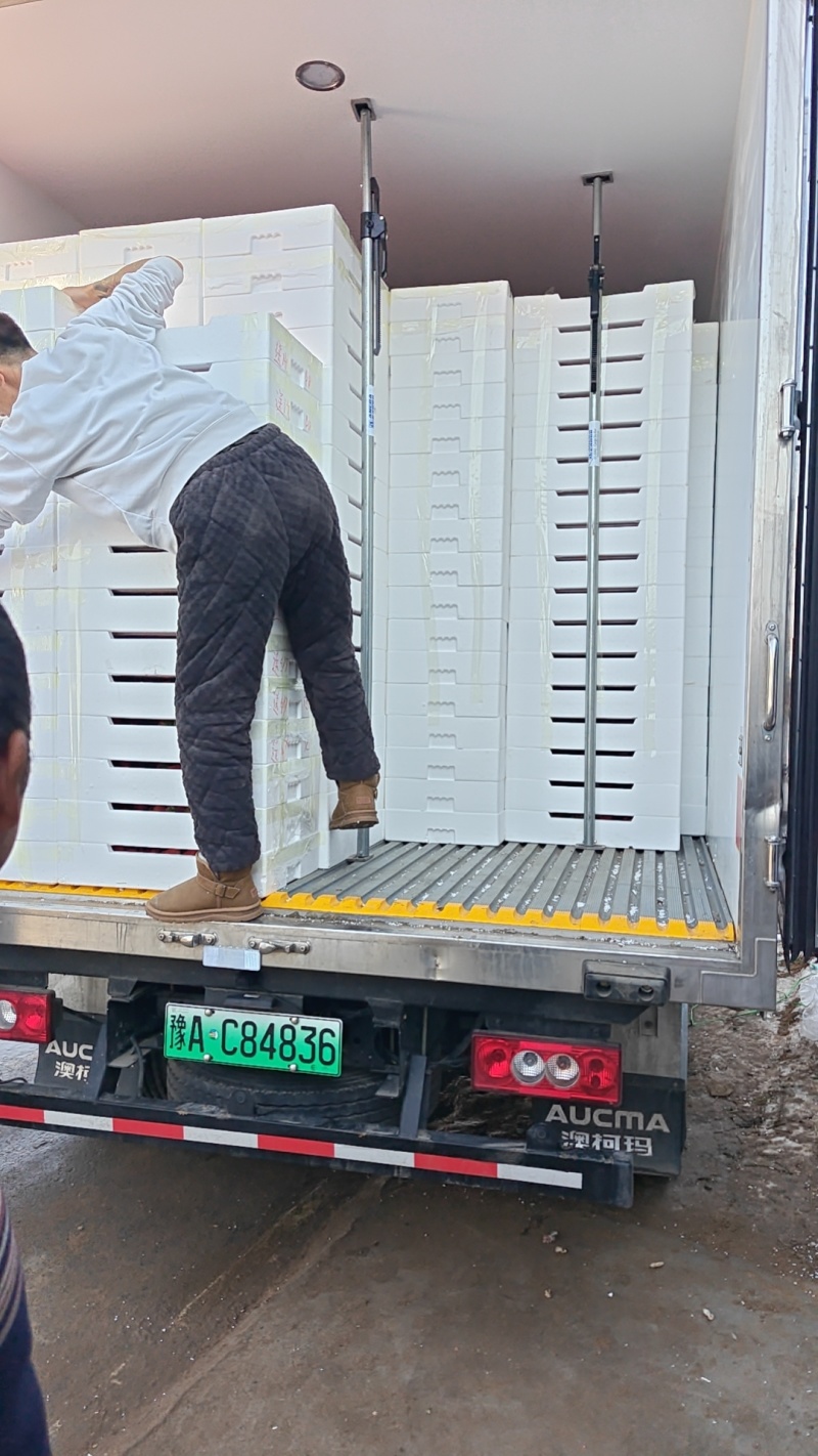 宁玉草莓一手货源量大从优品种保证全国发货