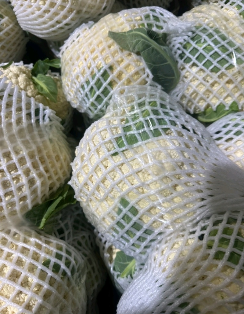 推荐菜花松花菜有机花产地直供货源充足实力代发全国