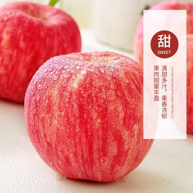 【推荐】灵宝红富士苹果/品质保证/支持批发一件代发/电询