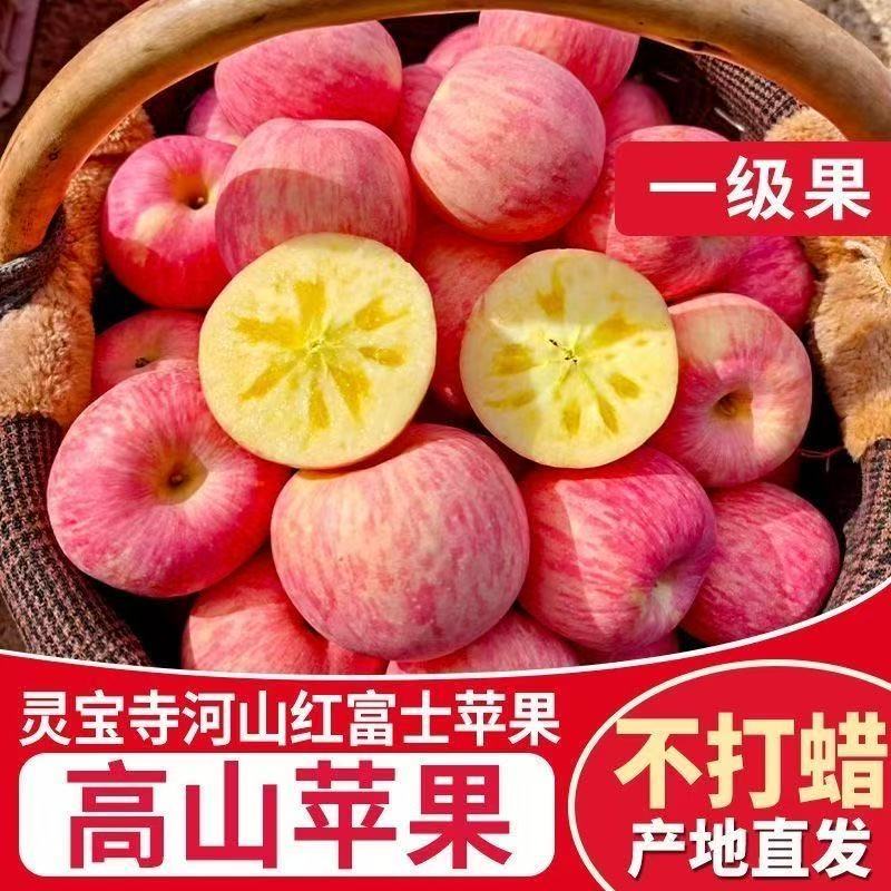 【推荐】灵宝红富士苹果/品质保证/支持批发一件代发/电询
