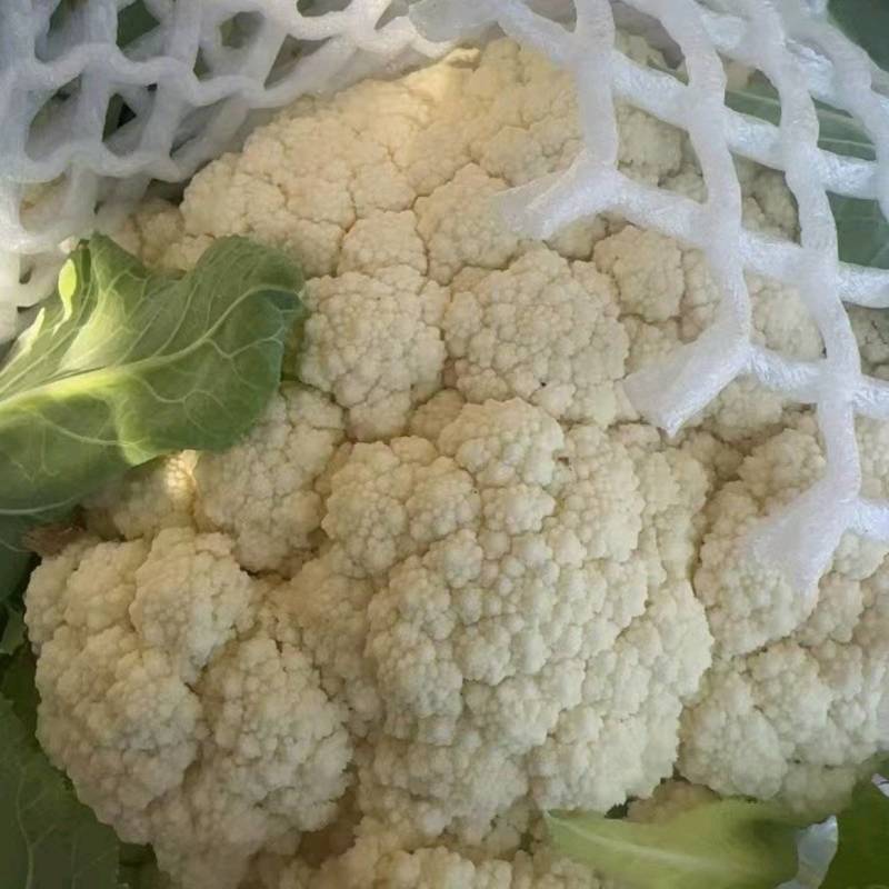 〈实力推荐〉南平菜花精品松花菜一手货源实力代发全国