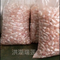 鱼泡