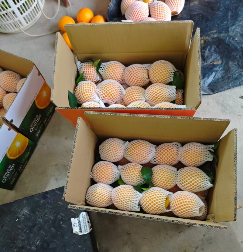 赣南脐橙现摘现发含箱10斤，量大请联系，可一件代发。