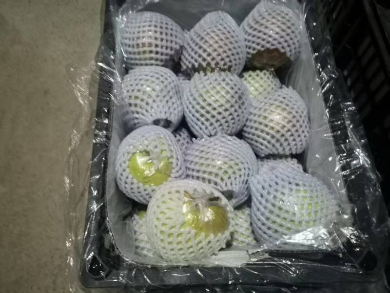 玉露香梨